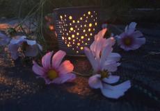 lampion1.jpg